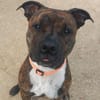 TAYSON QCN