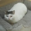 Trudy