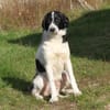 Lucy - wo darf ich glücklich sein?