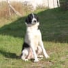 Lucy - wo darf ich glücklich sein?