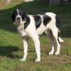 Lucy - wo darf ich glücklich sein?