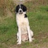 Lucy - wo darf ich glücklich sein?