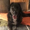 Roxy sucht ihre Familie