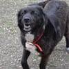 Roxy sucht ihre Familie