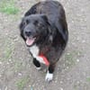 Roxy sucht ihre Familie