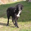 Lilly - Familienglück gesucht