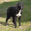 Lilly - Familienglück gesucht