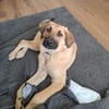 💙Titus💙sucht seine Familie