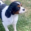 Lenny in 47877 Willich