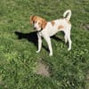 💕Cleo💕sucht ihre Menschen🐾💕🐾