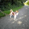 Vicky sucht ein neues Zuhause