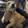 Sophia, suche Euch und Körbchen