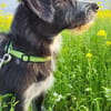 Sanfte Paula sucht ihre Familie