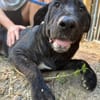 OTTO 2 sucht seine Menschen