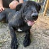 OTTO 2 sucht seine Menschen