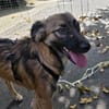 Chanel - gerade noch gerettet!