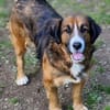 MISCHKA sucht Familie