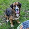 MISCHKA sucht Familie