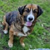 MISCHKA sucht Familie