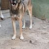EMILIA - sucht Familienanschluss