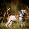 MOLLY (réservée)