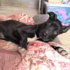 LUNITA (Rescate)