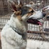 BALU', cerca casa