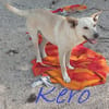 KERO giovanotto (settembre '23)