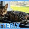 ASTERIX