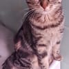 Freya