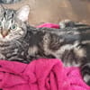 Freya