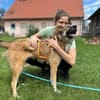 Wunderbare Rey  alles auf Anfang!