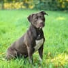 Ronja - ist ausgeglichen