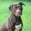 Ronja - ist ausgeglichen