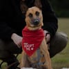 Unsere Lucy sucht ihr eigenes Zuhause