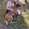 Unsere Lucy sucht ihr eigenes Zuhause