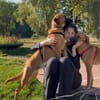 Pete-Junghund sucht sein erstes Zuhause