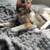 Malina und Ljuba aus dem Tierschutz