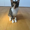 Malina und Ljuba aus dem Tierschutz