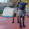 Ein Leben ohne Angst für Melanie❤