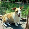 Wer hat ein Herz für Frieda?