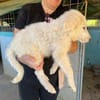 Geben Sie Cloe ein Zuhause?