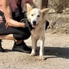 COPITO (Maria)