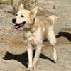 COPITO (Maria)