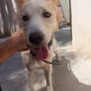 COPITO (Maria)