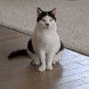 EMIE