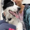NOTFALLHUND JACKSON sucht dringend🙏🆘