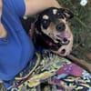 Rhonda Braquen Mix 9-10 Jahre