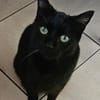 Coco in Mannheim sucht ihr Glück (SD)