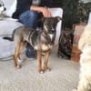 Arnaud ist eine liebe kleine Seele